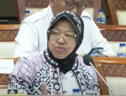 Terungkap! Anggaran Makan Bergizi Gratis Rp335 Triliun Bakal Disisir Kemenkeu, Ada Apa di Baliknya?