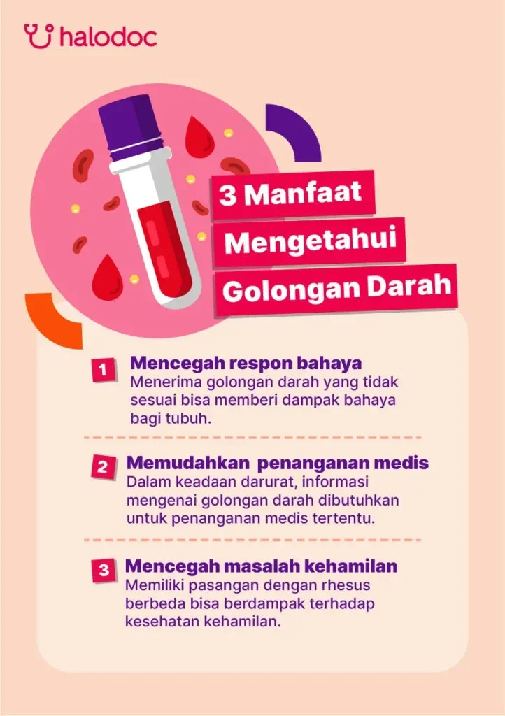 terungkap golongan darah ini punya risiko jantung paling rendah kamu termasuk portal berita terbaru