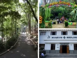 Terungkap! Hari Paling Murah untuk Terbang Liburan, Bisa Hemat Belasan Persen!