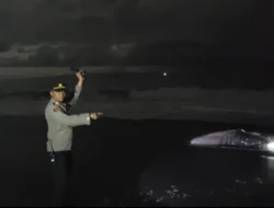 Terungkap! Hiu Paus Raksasa Mati Terdampar di Bekasi, Warga Lakukan Ritual Penghormatan Tak Biasa