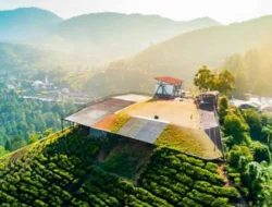 Terungkap! Titik Terdingin di Puncak Bogor Ada di Sini, Bikin Kamu Merinding Tapi Penuh Drama!