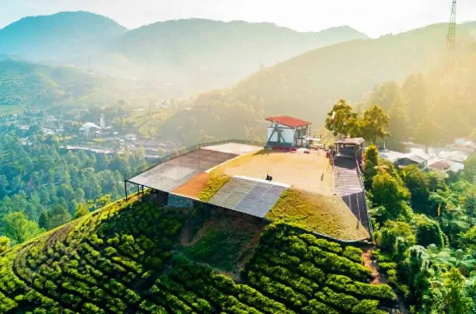 terungkap titik terdingin di puncak bogor ada di sini bikin kamu merinding tapi penuh drama portal berita terbaru