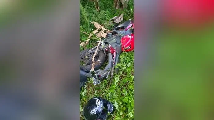 tragedi xiaomi su7 mengapa penyelamatan sopir mustahil portal berita terbaru