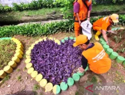 Transformasi Lenteng Agung! Sentra Fauna & Kuliner Baru Siap Gantikan Barito, Jadi Destinasi Wajib Warga Jakarta?