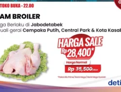 Transmart Full Day Sale Kembali! Harga Ayam & Buah Segar Anjlok 20%, Cek Diskon Gila-Gilaan Hari Ini!