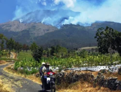 URGENT! Jalur Pendakian Gunung Sumbing Via Garung Ditutup Total Dua Minggu, Ini Alasan Tak Terduga!