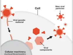 Viral iPhone 17 Pro Max Berserakan di Laga Qatar vs UEA, Hoaks Paling Bikin Geleng-Geleng!