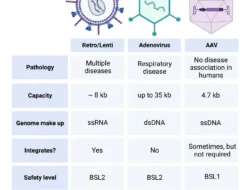 Viral Uji RON BBM Pakai Alat Portabel: Pertamina Angkat Bicara, Jangan Sampai Salah Paham!