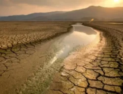 Waspada! BMKG Ungkap Potensi Kemarau Basah Lanjut Hingga 2026, Ini Skenario Hujan Sepanjang Tahun