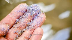 Waspada! Hujan Jakarta Bawa Mikroplastik, Bikin Kulit Rusak dan Gampang Jerawatan? Ini Kata Dokter! 4 waspada hujan jakarta bawa mikroplastik bikin kulit rusak dan gampang jerawatan ini kata dokter portal berita terbaru