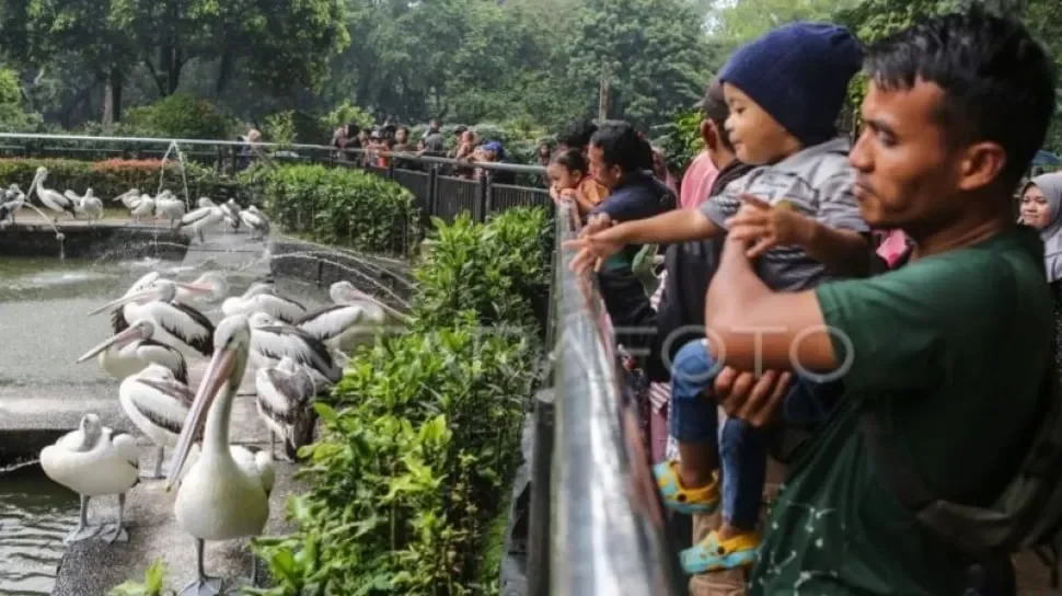 wisata malam ragunan bikin kecewa pemprov dki buka suara ada kabar baik portal berita terbaru