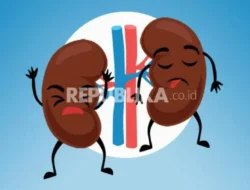 5 Kebiasaan Pagi yang Sering Kamu Lakukan Ini Diam-Diam Merusak Ginjal, Waspada!