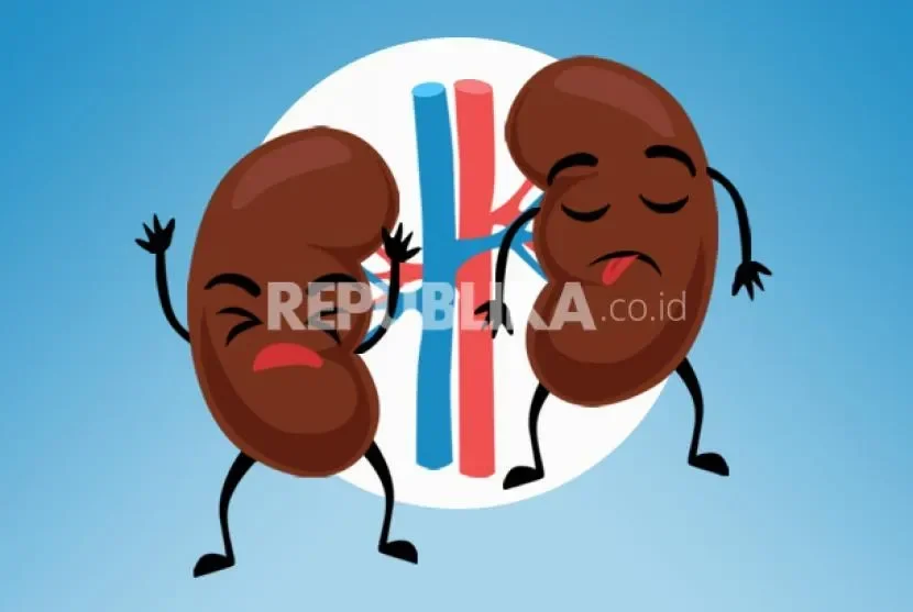 5 kebiasaan pagi yang sering kamu lakukan ini diam diam merusak ginjal waspada portal berita terbaru