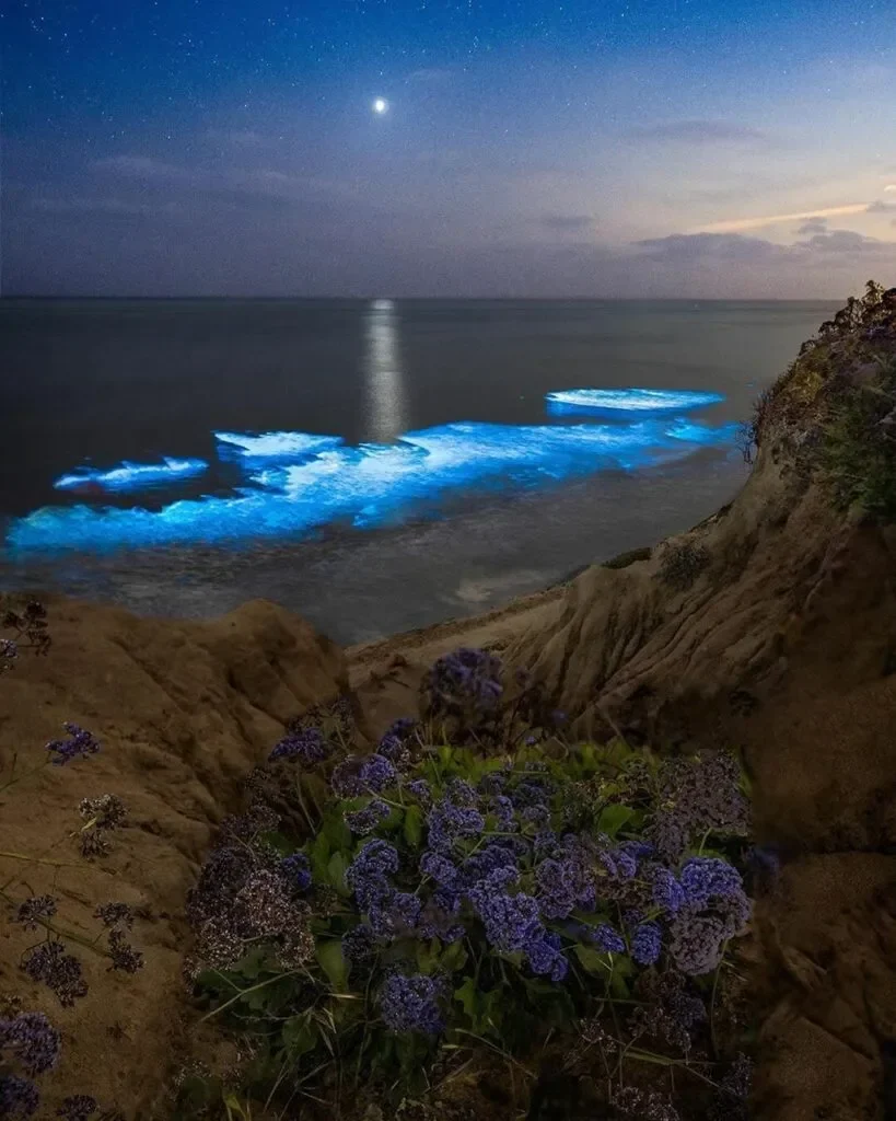 alor punya misteri air laut tiba tiba dingin membeku ikan ikan pingsan massal portal berita terbaru