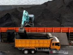 Bahlil Lahadalia Ultimatum! DMO Batu Bara Bakal Meroket di Atas 25%, Pengusaha ‘Nakal’ Siap-siap!