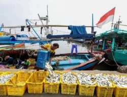 Bantul Siap Berubah! Kampung Nelayan Merah Putih Hampir Rampung, Fasilitas Ini Jadi Kunci Sejahtera Nelayan