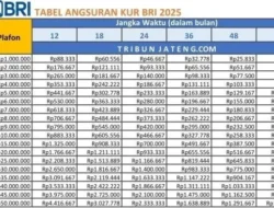 Bedu Resmi Cerai, Siap Nafkahi Anak Rp50 Juta per Bulan! Komitmen Luar Biasa Sang Komedian