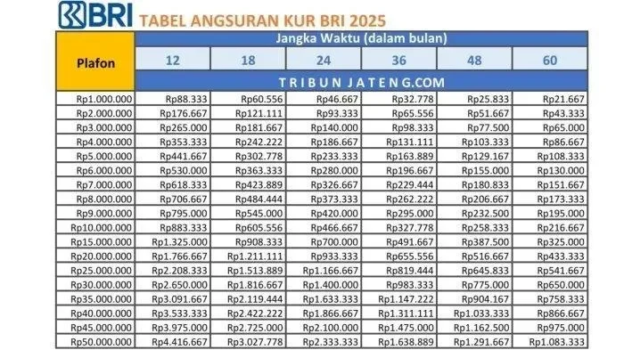 bedu resmi cerai siap nafkahi anak rp50 juta per bulan komitmen luar biasa sang komedian portal berita terbaru