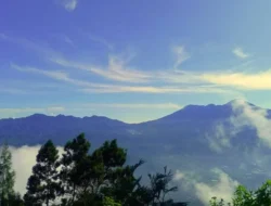 Bikin Melongo! Intip Pesona Seni Belanda, Pesta Meksiko, dan Keajaiban Bali yang Mendunia!