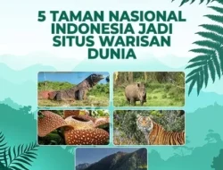 Bikin Takjub! 5 Taman Nasional Indonesia Ini Diakui UNESCO, Bukti Kekayaan Alam Negeri