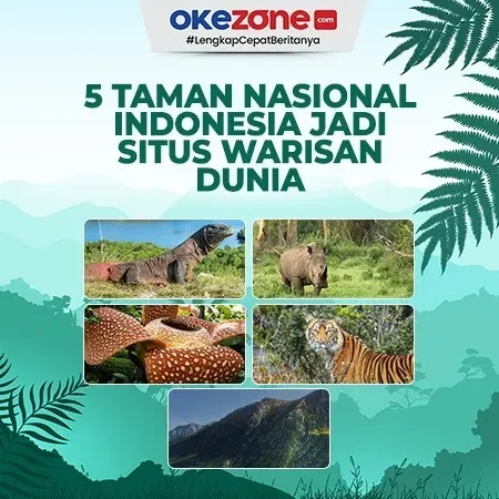 bikin takjub 5 taman nasional indonesia ini diakui unesco bukti kekayaan alam negeri portal berita terbaru