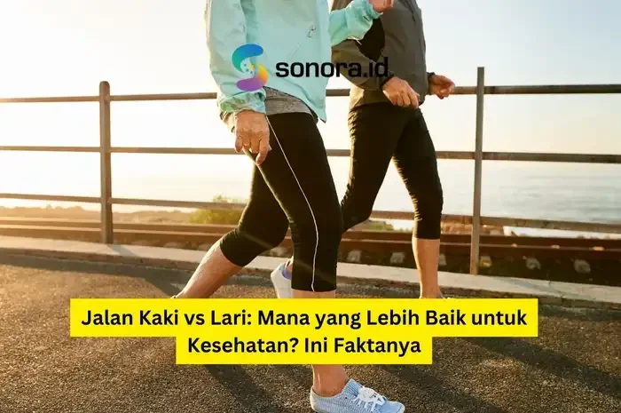 bongkar tuntas lari atau jalan kaki mana yang lebih ampuh hempas lemak perut portal berita terbaru