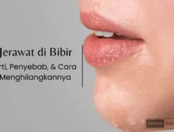 Bongkar Tuntas! Rahasia CNN Indonesia Jadi Raksasa Berita Digital Global yang Kamu Wajib Tahu