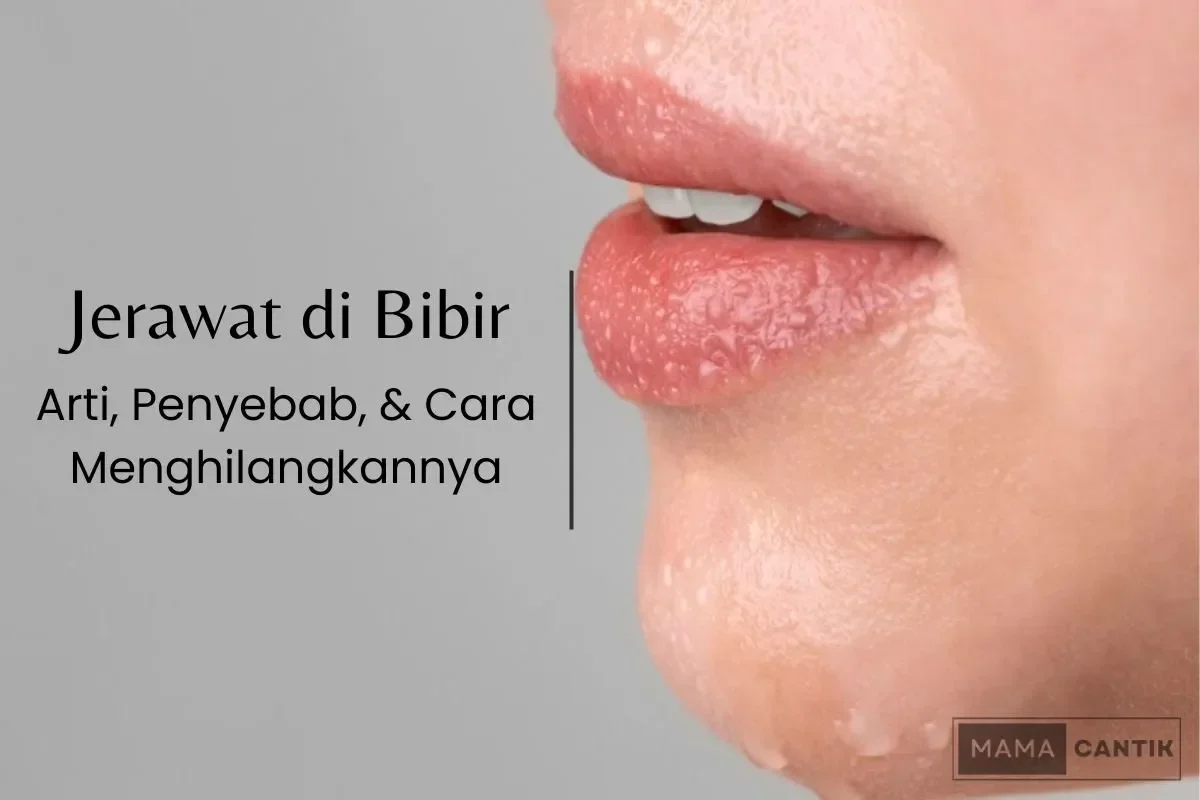 bongkar tuntas rahasia cnn indonesia jadi raksasa berita digital global yang kamu wajib tahu portal berita terbaru