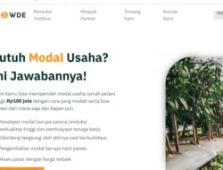 BREAKING: OJK Resmi Cabut Izin Pinjol Crowde! Dana Investor dan Peminjam Gimana Nasibnya?