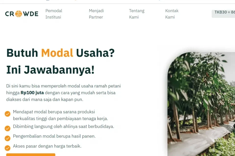 breaking ojk resmi cabut izin pinjol crowde dana investor dan peminjam gimana nasibnya portal berita terbaru