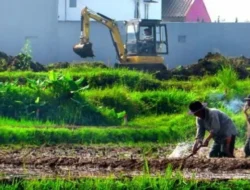 BREAKING: Sawah Petani Dijamin Anti-Konversi! Pemerintah Lindungi Lahan Pangan Nasional, Ini Detailnya!