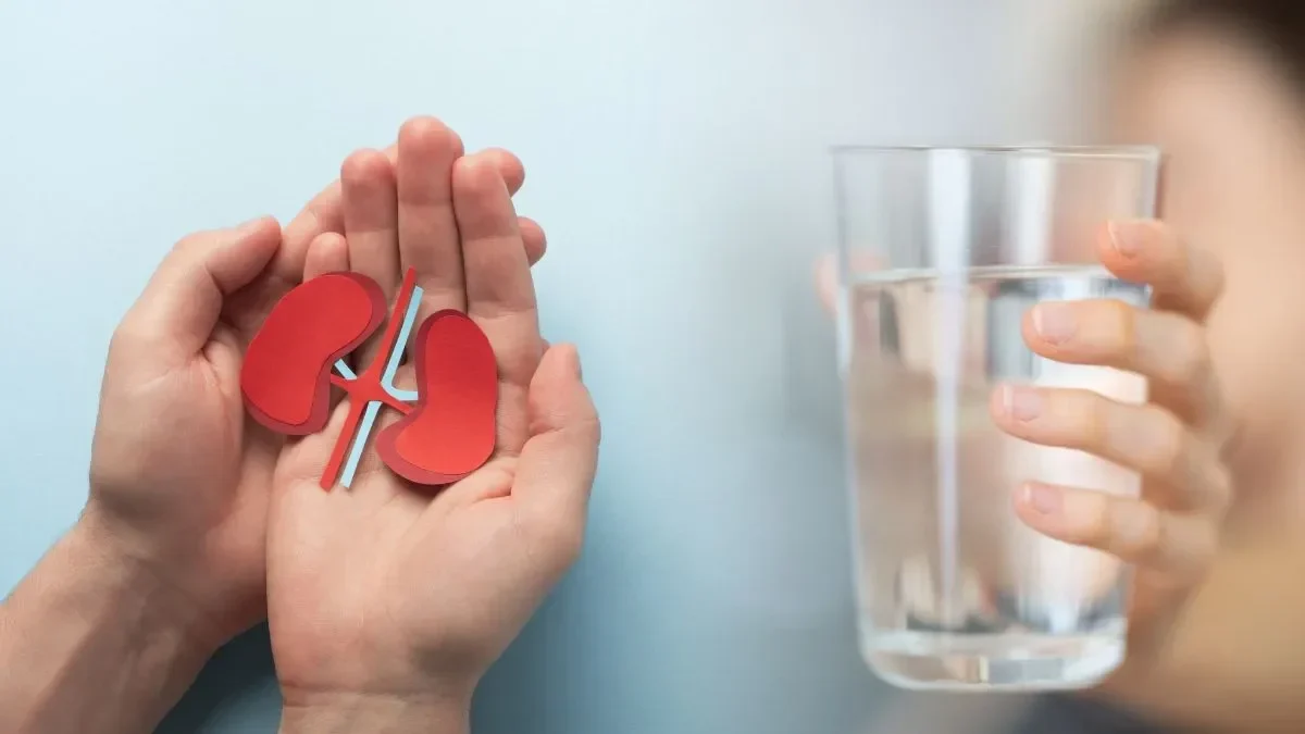 bukan cuma air putih 5 air rebusan herbal ini rahasia ginjal sehat optimal portal berita terbaru