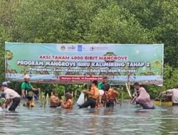 Bukan Cuma Wacana! BRI Peduli Ajak Pelajar Jadi Agen Perubahan Iklim, Ini Buktinya!