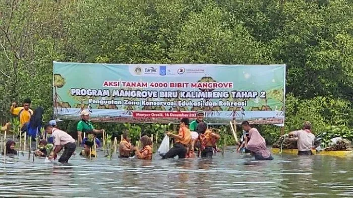 bukan cuma wacana bri peduli ajak pelajar jadi agen perubahan iklim ini buktinya portal berita terbaru