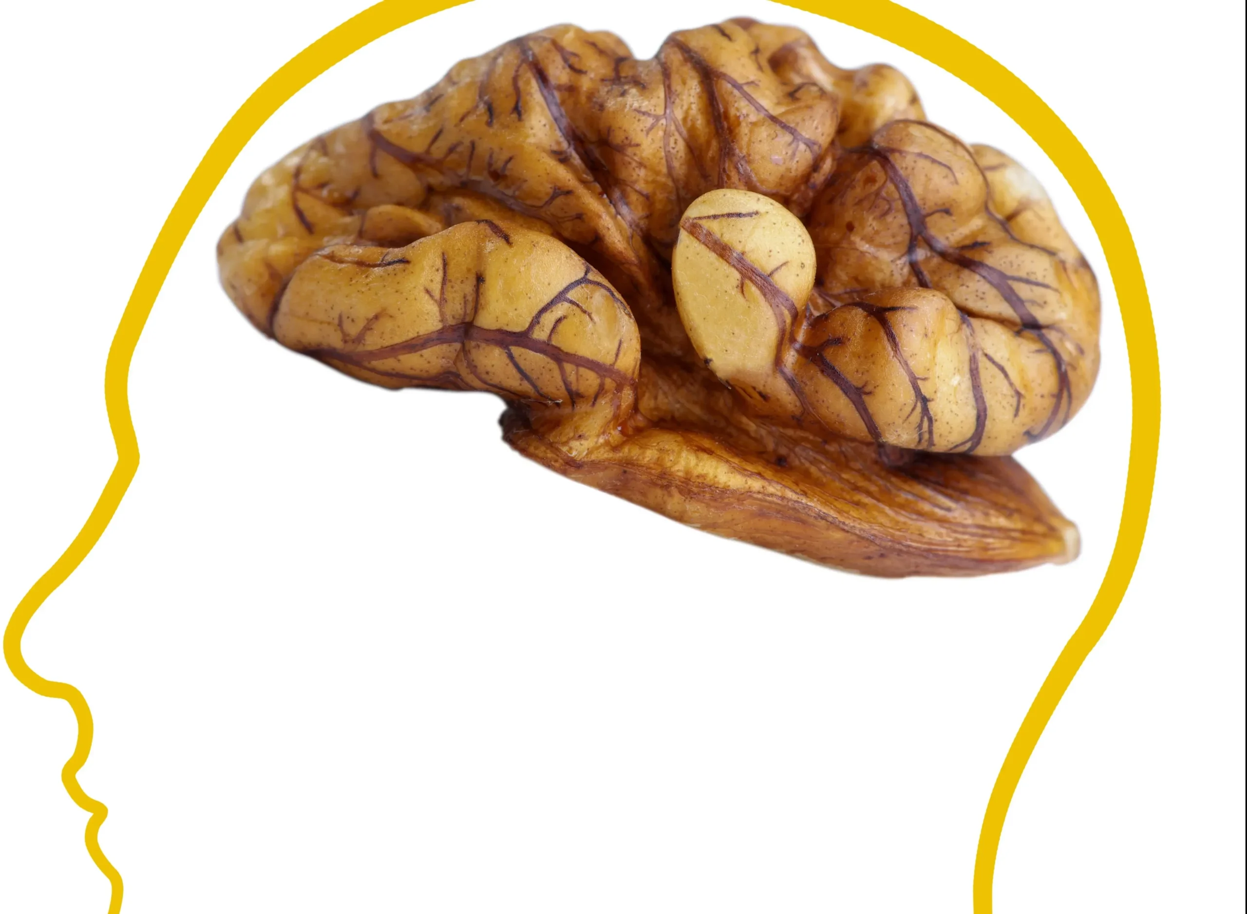 bukan sekadar camilan 5 kacang ini rahasia otak anti pikun sampai tua scaled portal berita terbaru