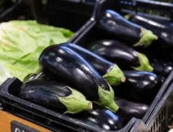 Bukan untuk Semua Orang! Waspada Efek Samping Terong Jika Kamu Termasuk 7 Kelompok Ini