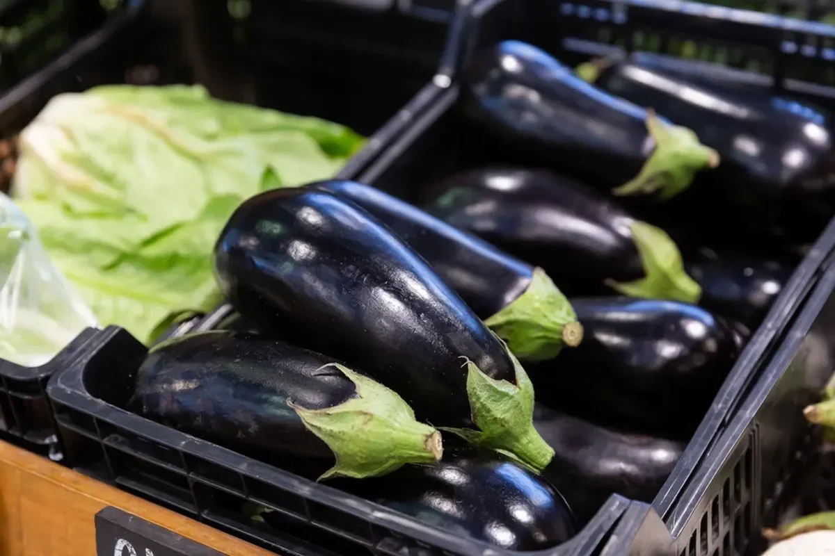 bukan untuk semua orang waspada efek samping terong jika kamu termasuk 7 kelompok ini portal berita terbaru