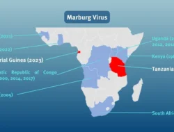 Darurat Kesehatan! Ethiopia Konfirmasi Wabah Marburg Pertama, Dunia Wajib Waspada