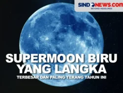 Di Balik Layar CNN: Menguak Rahasia Kekuatan Jaringan Media Global yang Tetap Relevan Hingga 2025!