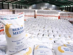 Dunia Geger! Indonesia Setop Impor Beras, Harga Global Langsung Anjlok Drastis, Ada Apa?