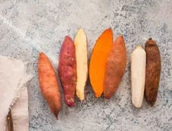 Fakta Mengejutkan! Kentang Kalahkan Nasi Putih dalam Urusan Kesehatan? Simak Penjelasannya!