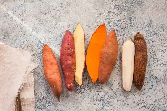 fakta mengejutkan kentang kalahkan nasi putih dalam urusan kesehatan simak penjelasannya portal berita terbaru