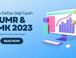 Gaji UMR Sambil Magang? Kemnaker Buka Pendaftaran Batch 2, Fresh Graduate D-1 Hingga S-1 Wajib Cek!