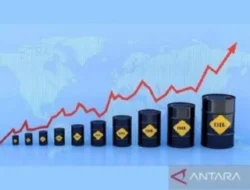 Gawat! Drone Ukraina Hantam Jantung Ekspor Rusia, Harga Minyak Dunia Langsung Meroket Tajam!