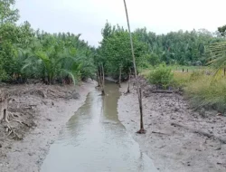 Gawat! Ibu Kota Iran Terancam Kehabisan Air Minum dalam 2 Minggu, Alarm Merah untuk Jutaan Jiwa