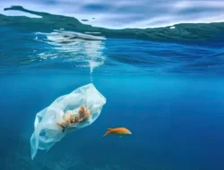 Gawat! Mikroplastik Kini ‘Bersarang’ di Tulang Manusia, Kesehatanmu Terancam Serius!