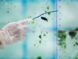 Geger! BRIN Ungkap Air Hujan Jakarta Tercemar Mikroplastik, Bahayanya Gak Main-Main!