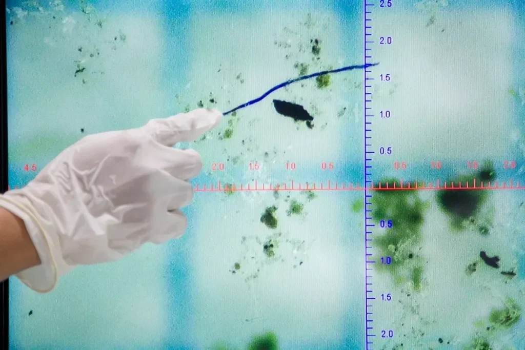 geger brin ungkap air hujan jakarta tercemar mikroplastik bahayanya gak main main portal berita terbaru