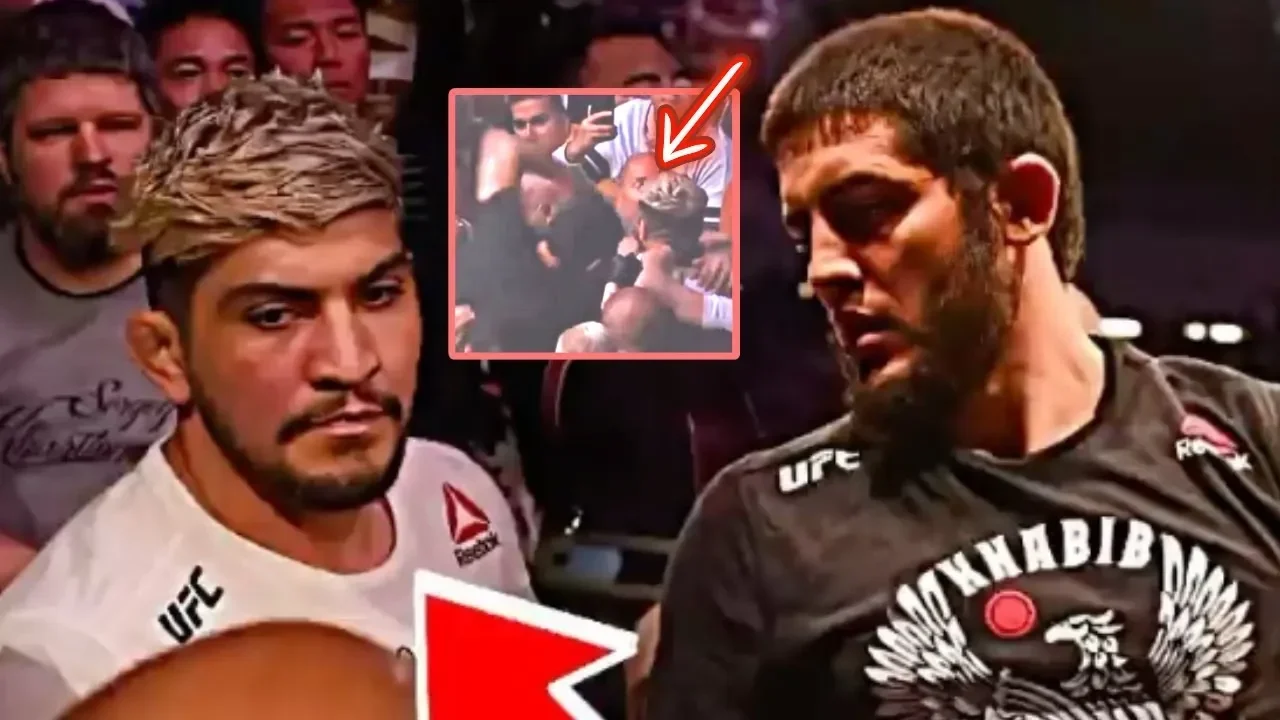 geger ufc 322 pelatih makhachev ungkap alasan tim khabib hajar dillon danis portal berita terbaru