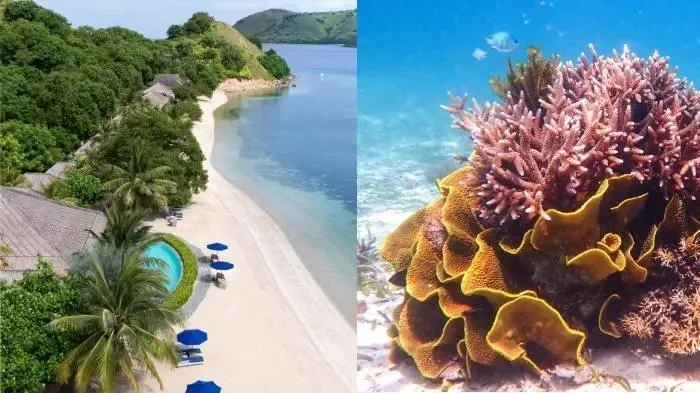 gokil resort di labuan bajo ini ganti 85 listrik pakai tenaga surya selamatkan laut sekaligus portal berita terbaru